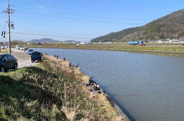 ホンモロコが釣れる長命寺川