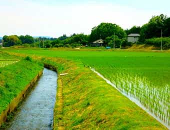 田園風景