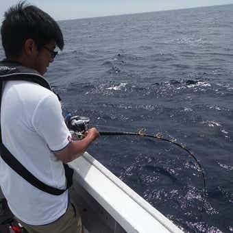 泳がせ釣り