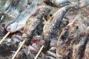 ニジマスの塩焼き
