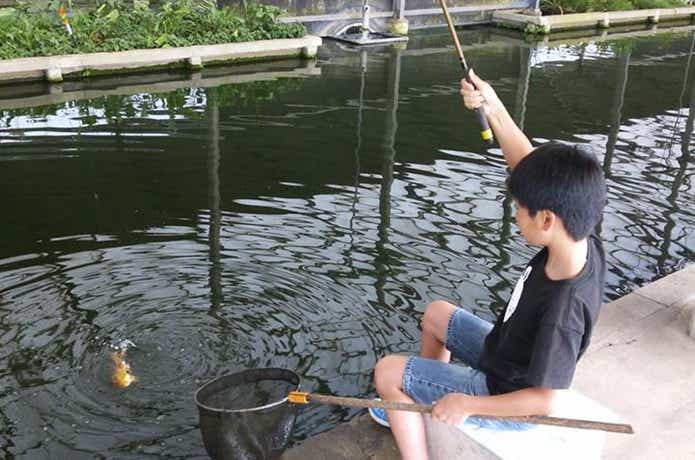 座間養魚場の屋内池