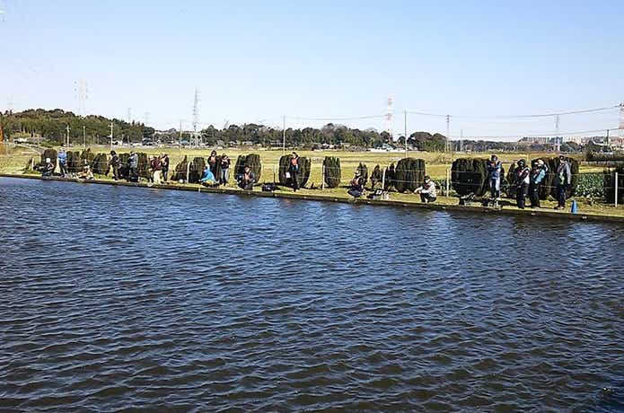 座間養魚場トラウト池