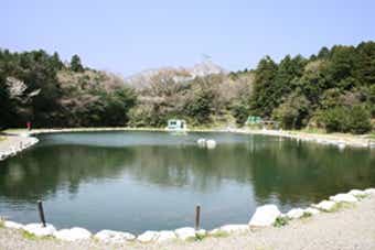 第二ポンドの画像