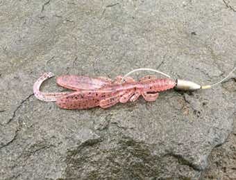 テキサスリグの画像
