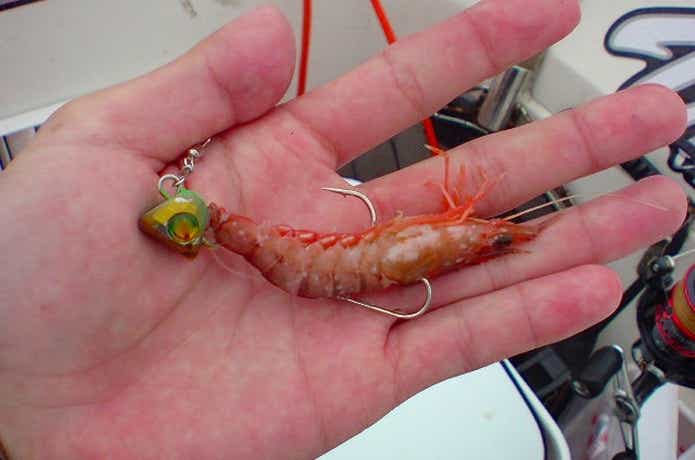ひとつテンヤ