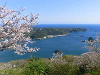 春のショアジギングの画像