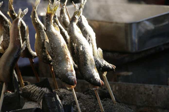 アユ（鮎）はどんな魚？苔を食べるだけじゃない？驚きの生態とは