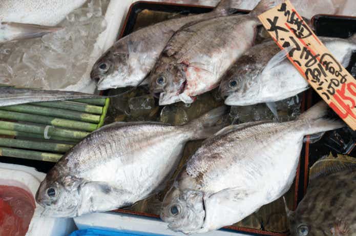 イボダイ(エボダイ)