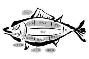 大トロの部位