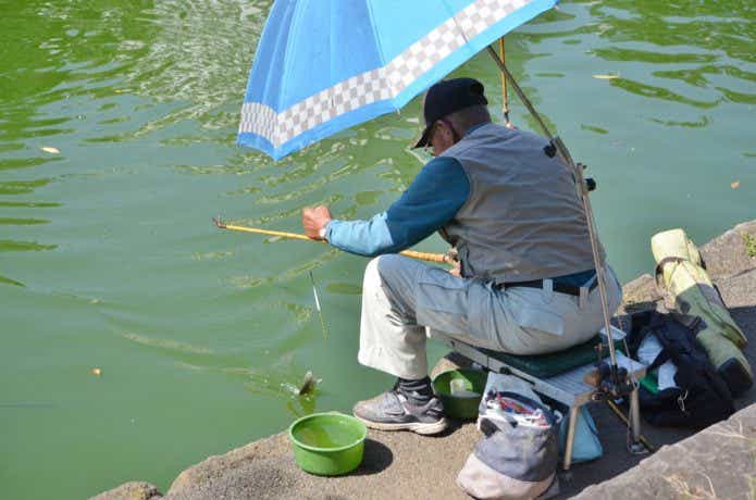 ヘラブナ釣り