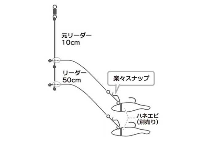 ハネエビパニックの図解