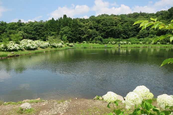 つり天国のポンド