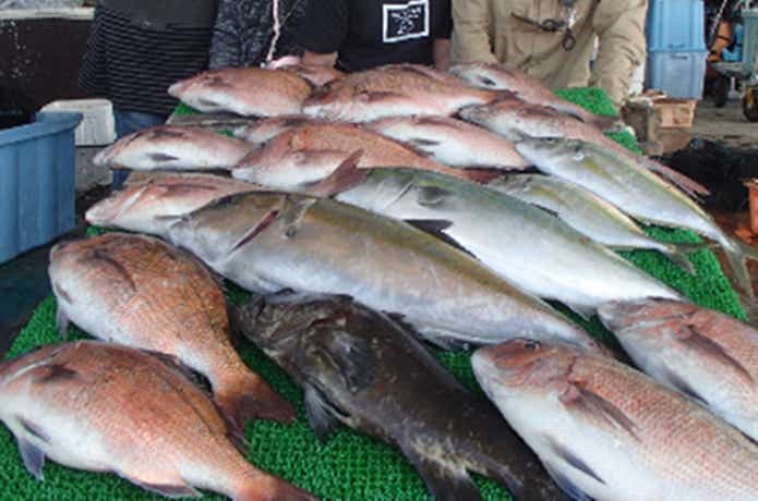 カタタの釣り堀で大漁