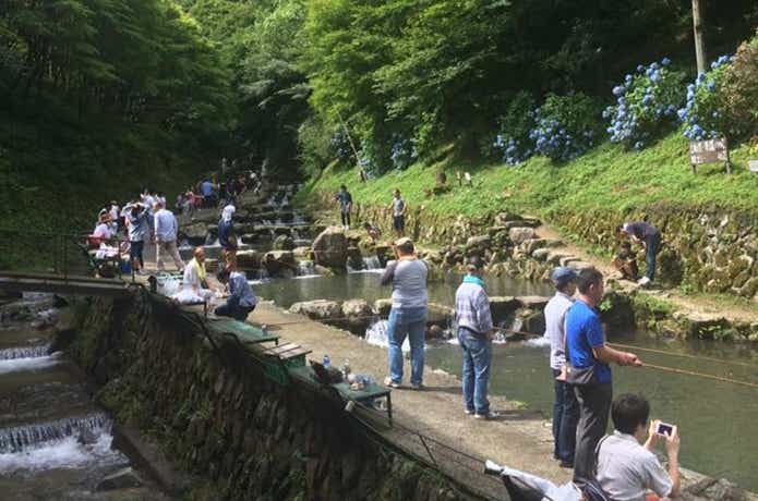 千早川マス釣り場の一般釣り場