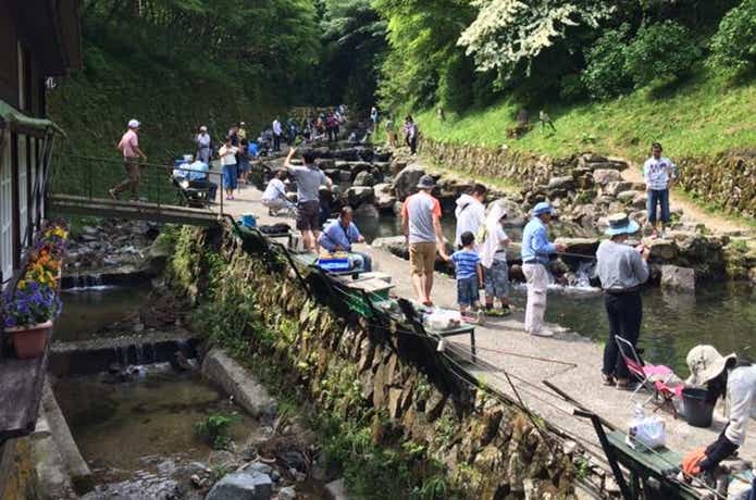 千早川マス釣り場