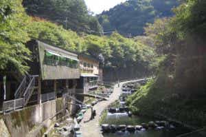 千早川マス釣り場