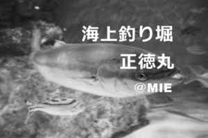 正徳丸