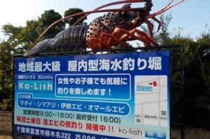 コリッシュ看板