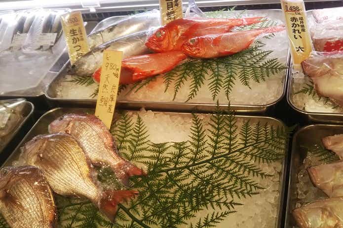 オニオコゼの値段の画像