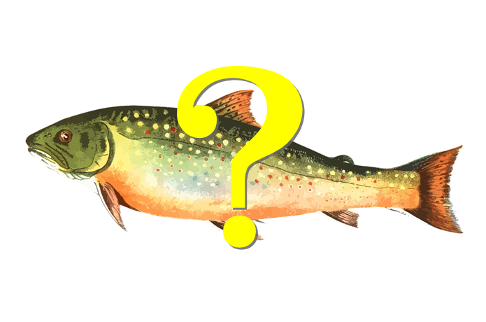 日本記録って?
