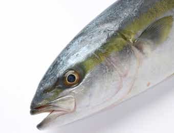 青物