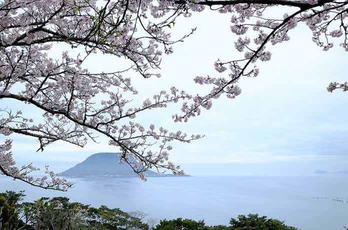 春の画像