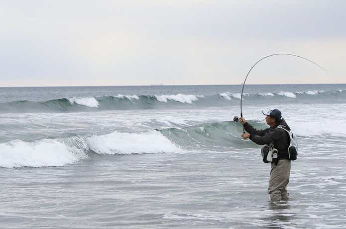 サーフヒラメ釣りの画像
