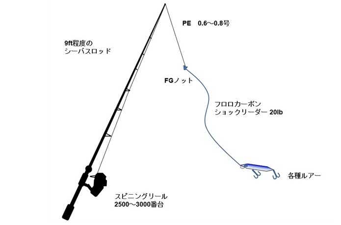 スズキのルアー釣り仕掛けの画像