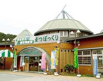 まつぼっくり