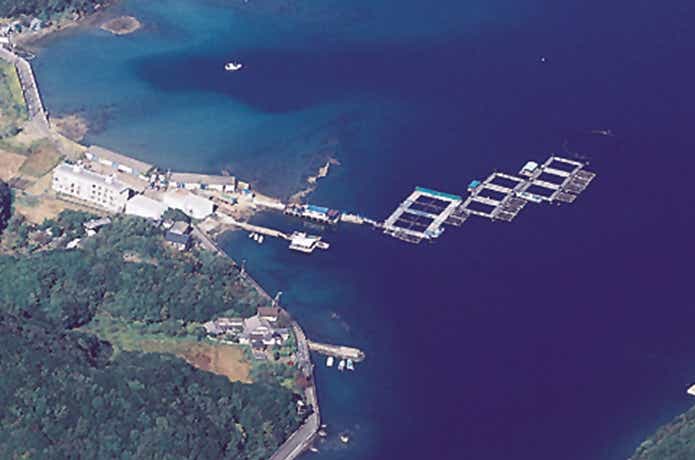 カタタの釣り堀