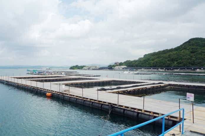 カタタの釣り堀の小物イケス