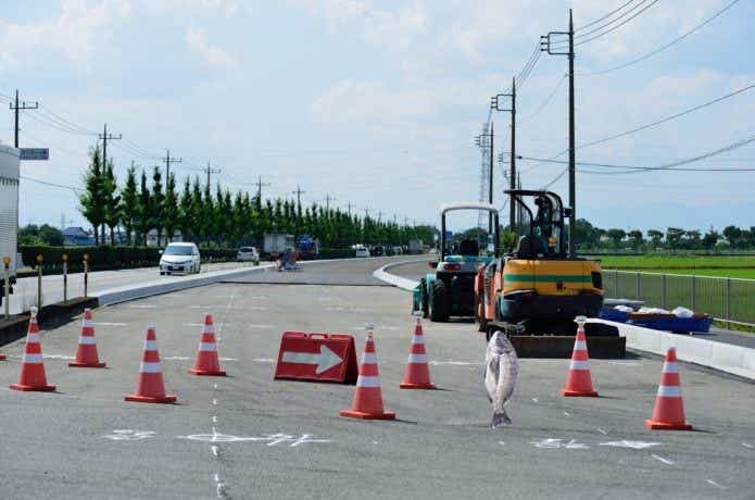 クロダイの日本記録