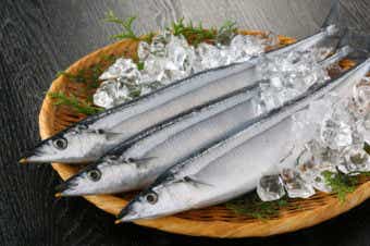 秋刀魚の画像