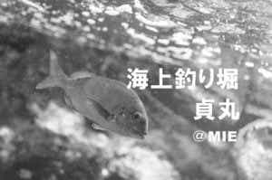 貞丸