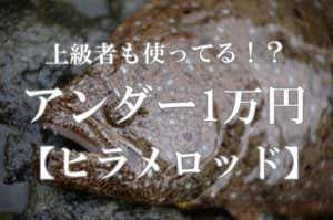 アンダー1万のヒラメロッド