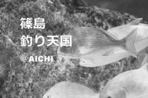 篠島釣り天国