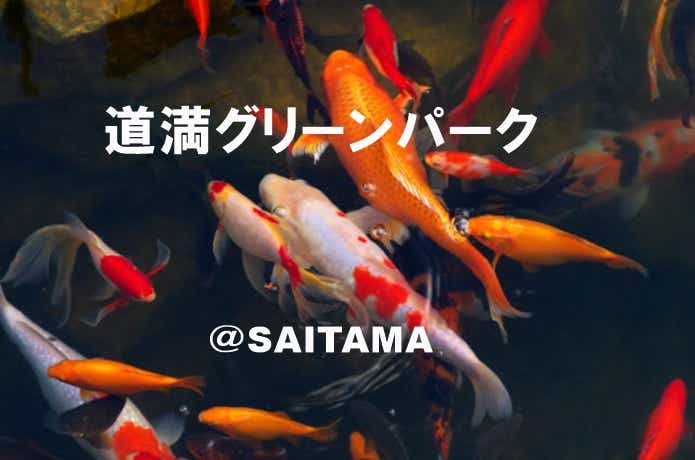 金魚