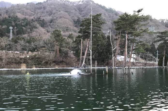フィッシュオン鹿留