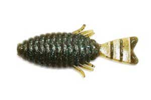 根魚フラット