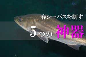 春　シーバスルアー
