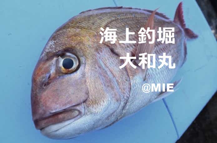 真鯛