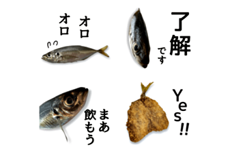 実写！アジです