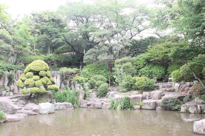 衆楽園の池
