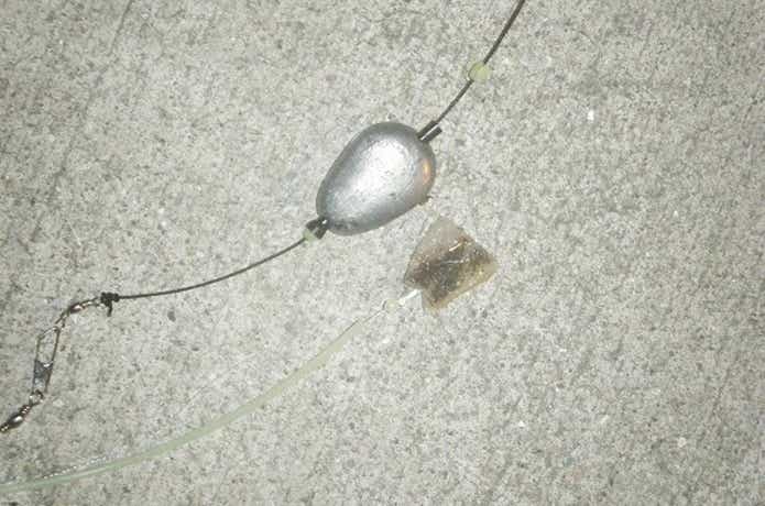 ドチザメ 仕掛け