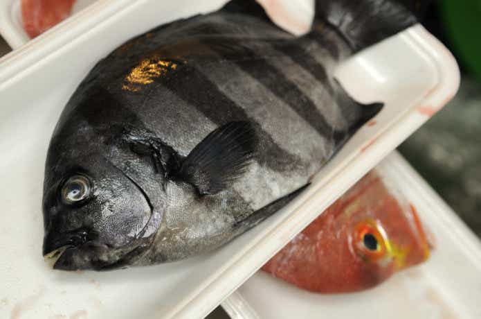 石鯛魚屋の画像