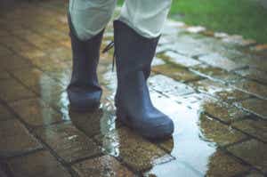 雨