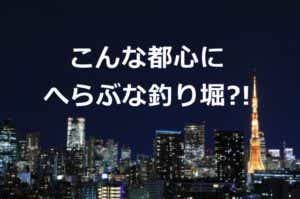 南麻布の夜景