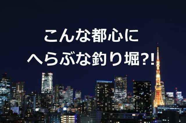 南麻布の夜景