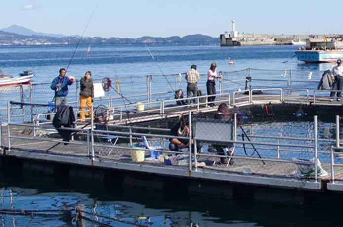 熱海の釣り堀の海上釣り堀太公望の画像