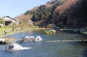 浅川国際鱒釣場